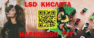 PSILOCYBIN Заводоуковск