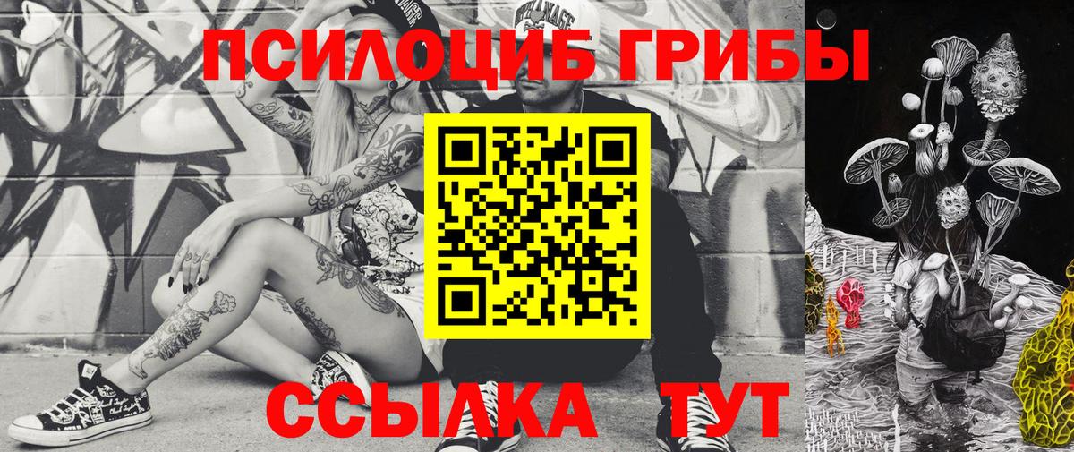 Галлюциногенные грибы прущие грибы Кубинка