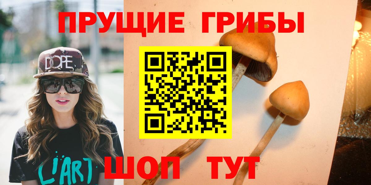Псилоцибиновые грибы GOLDEN TEACHER  Вход с VPN  Кубинка 